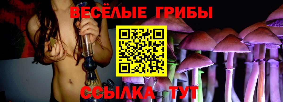 Петрозаводск  Псилоцибиновые грибы мицелий  Галлюциногенные грибы GOLDEN TEACHER  Вход с VPN 