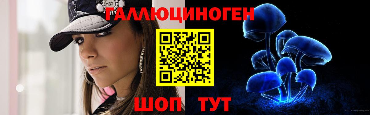 Псилоцибиновые грибы ЛСД Петрозаводск